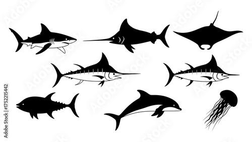 Minimalist Black Silhouettes of Various Sea Creatures on White