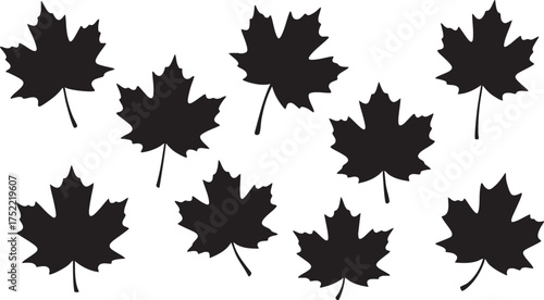 Collection of black maple leaves silhouettes isolated on a white background