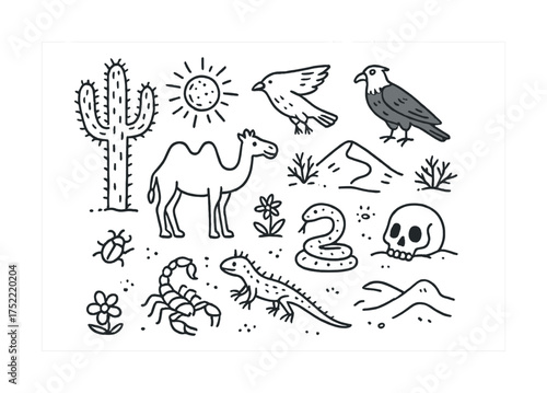 Desert wildlife illustration with cactus and animals in black and white