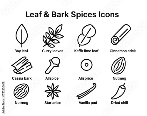 Leaf and bark spices icons: bay, curry, kaffir lime, cinnamon, cassia, allspice, nutmeg, star anise, vanilla, chili