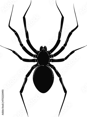 Spider silhouette vector, black arachnid with eight legs isolated on white — stock vector.