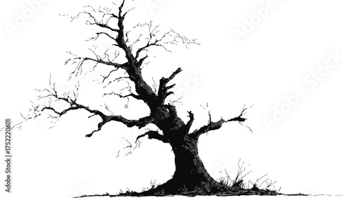 Dead tree vector, hand drawn silhouette with twisted bare branches and rough ground — stock vector.