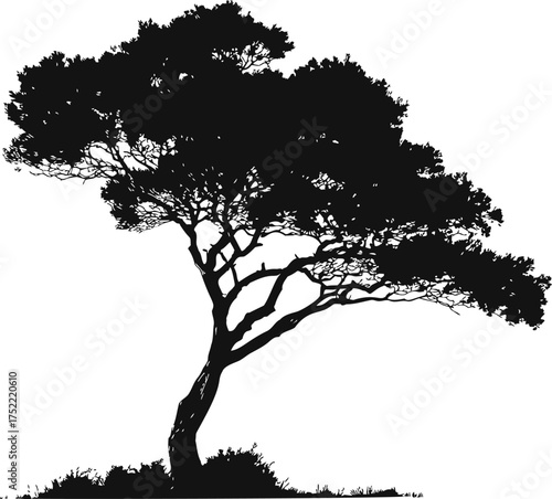 Tree silhouette vector with curved trunk and dense foliage on grass — stock vector.