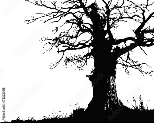 Tree silhouette vector, hand drawn style, bare branches, isolated on white background — stock vector.