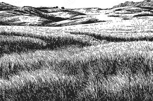 Grass field sketch, hand drawn black and white landscape with rolling hills — stock vector