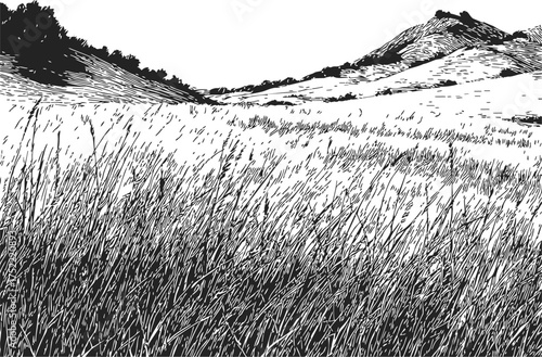 Grassland meadow with distant mountains, hand drawn sketch, black and white line art landscape — stock vector