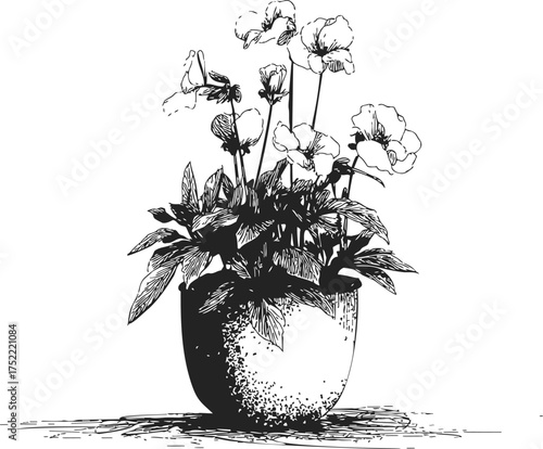 Potted flowers sketch hand drawn style with detailed leaves and blooms — stock vector