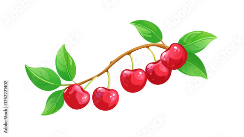 Beautiful branch with vibrant red cherries and lush green leaves isolated on white. vector icon