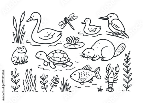 Line art of wetland animals and plants including duck, frog, turtle, and fish
