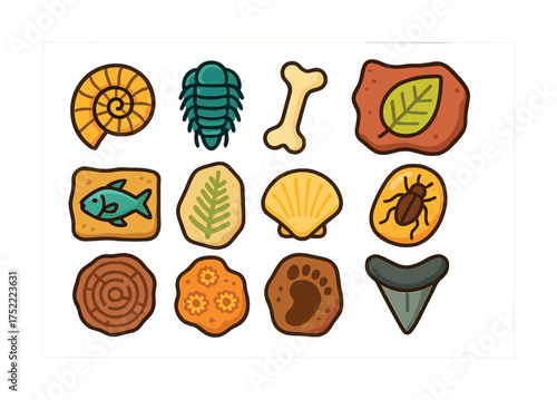 Colorful cartoon fossils collection with plants, animals, and shells