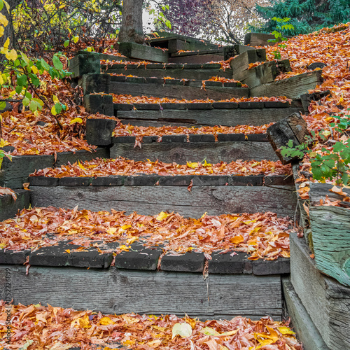 stairs in autumn park