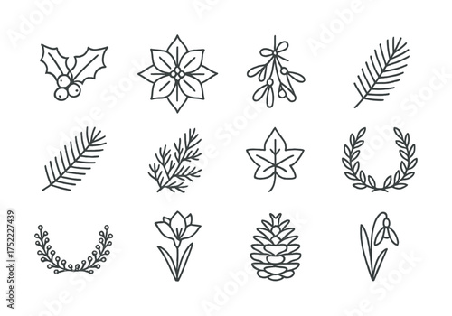 Winter botanical line art: holly, poinsettia, mistletoe, pine cone, snowdrop