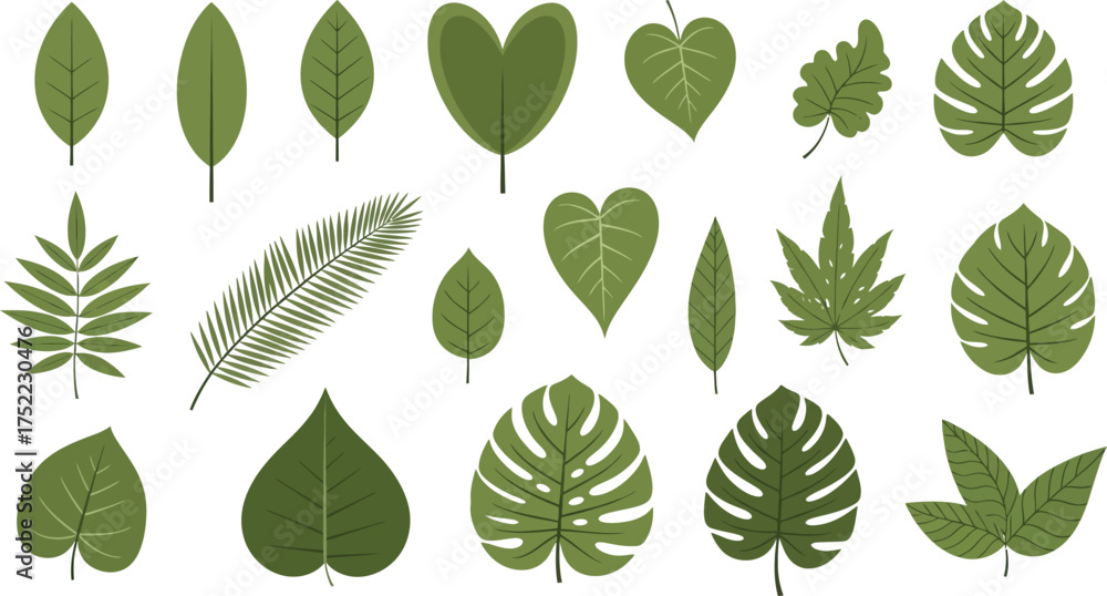 Fototapeta premium Exotic Green Leaves Assortment Featuring Monstera, Palm, and Tropical Elements