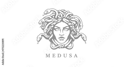 Medusa illustration with snakes for hair in a minimalist design