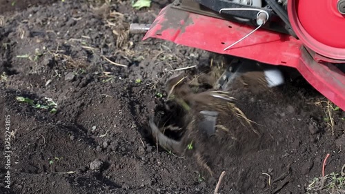 Wallpaper Mural Individual operating a tiller in a garden, showcasing the process of soil preparation, with a gradual zoom in capturing the action and equipment details	 Torontodigital.ca