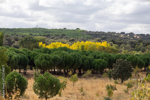 Fuencarral - El Pardo, Madrid