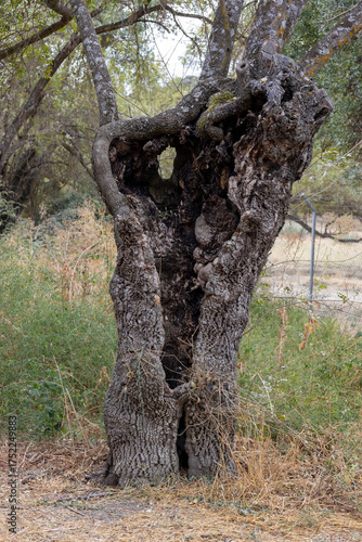 Fuencarral - El Pardo, Madrid