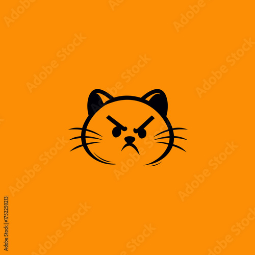 Angry cat face on an orange background