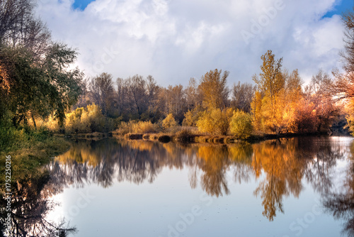 A beautiful landscape of the river surrounded by trees on a sunny summer day under blue sky.