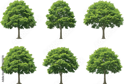 Cartoon deciduous tree illustration set, green foliage, varied canopy shapes, trunk styles, nature design, forest elements, botanical diversity, landscape theme, plant study