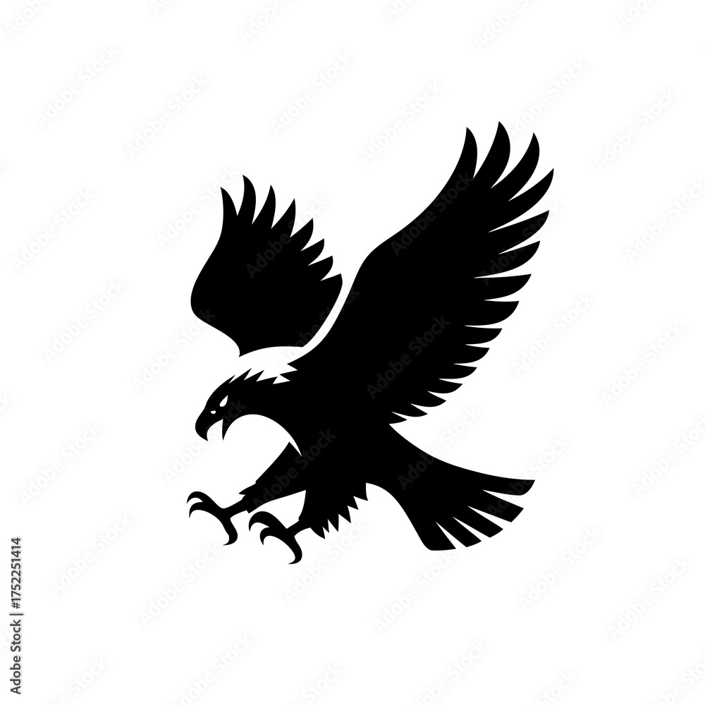 Obraz premium Black eagle descending with wings spread