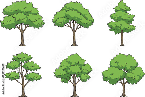 Cartoon tree illustration set with green foliage, varied trunk shapes, leaf density, nature design, forest elements, botanical diversity, landscape theme, plant study