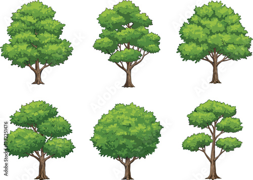 Cartoon tree illustration set with green foliage, varied trunk shapes, leaf density, nature design, forest elements, botanical diversity, landscape theme, plant study