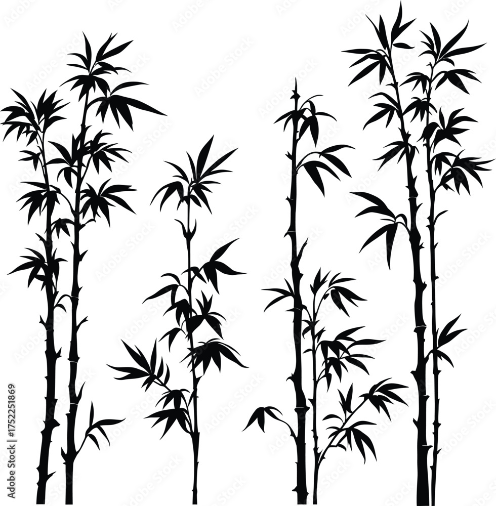 Fototapeta premium Bamboo Plant Silhouette Vector Featuring Segmented Stalks, Clustered Leaves, and Minimalist Botanical Elegance in Line Art