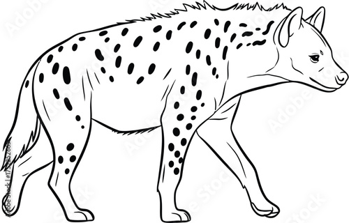 Walking Spotted Hyena, Line Art Illustration on White Background