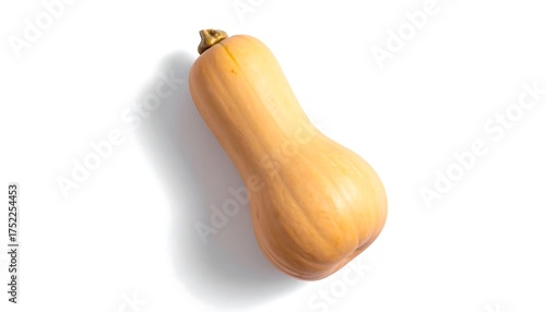 A single, organically shaped winter squash lies on a stark white background, casting a subtle shadow