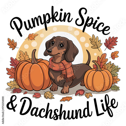 Dachshund dog wearing a scarf with pumpkins and autumn leaves text Pumpkin Spice and Dachshund Life puppy