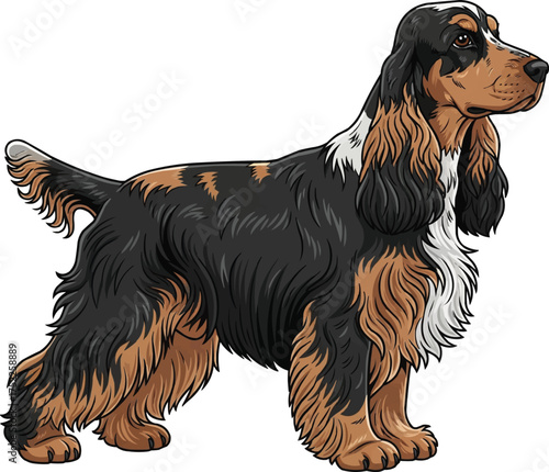 english cocker spaniel dog standing side profile vector illustration