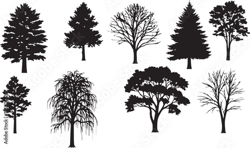 Diverse tree silhouettes for nature designs or landscape projects offering a classic timeless aesthetic for any creative endeavor