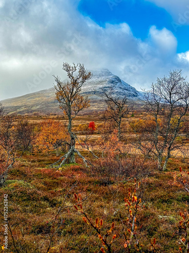 Storlien blomsterstigen mountain fall autumn Sweden Jamtland Norrland 11