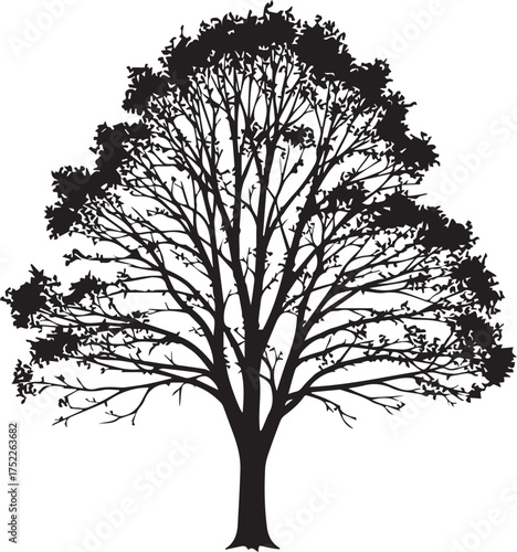 Striking silhouette of a majestic oak tree against a clean background for natural designs and creative projects needing organic elements