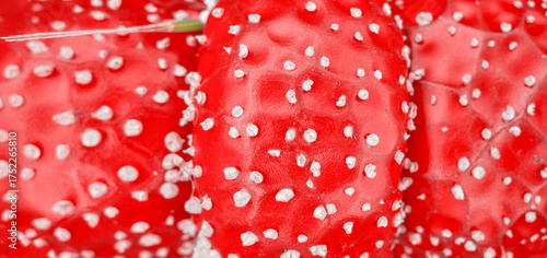 Photo of the texture of a fly agaric mushroom cap, abstract natural background.