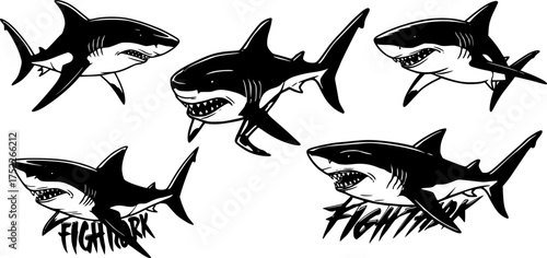 Fighter shark vector illustration for t shirt and other uses.
