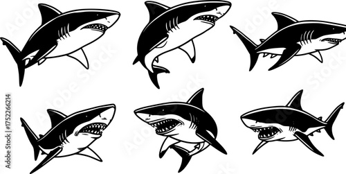 Fighter shark vector illustration for t shirt and other uses.
