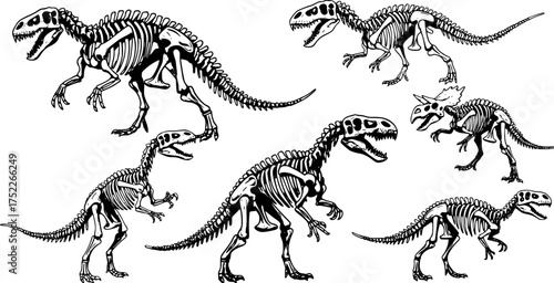 Super dinosaur skeleton illustration for t-shirt print and other uses
