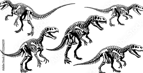 Super dinosaur skeleton illustration for t-shirt print and other uses
