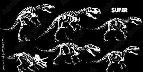 Super dinosaur skeleton illustration for t-shirt print and other uses

