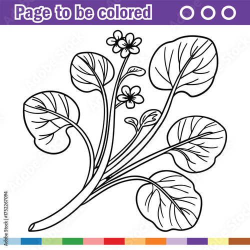 Flowering Plant Coloring Page – Black and White Outline with Educational Design and Suggested Palette for Kids Creative Learning Activities