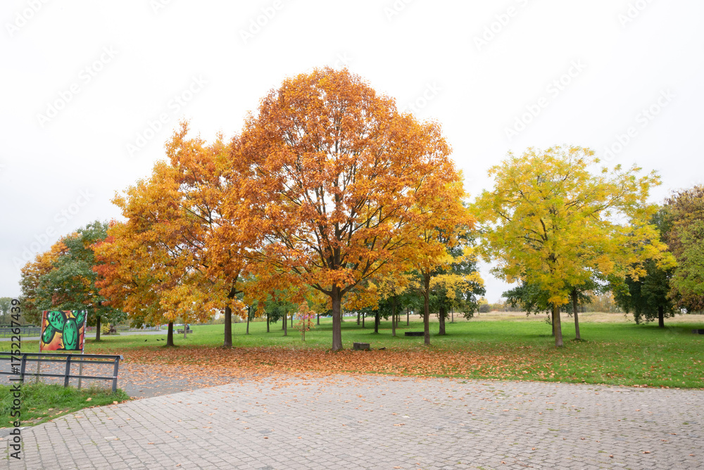 Naklejka premium autumn in gernany