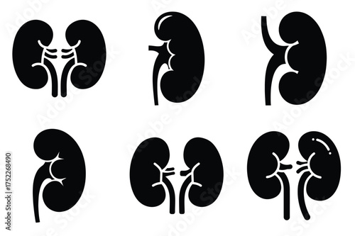 Kidney silhouette vector icon set