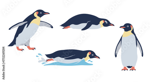 Emperor Penguin in Various Poses Isolated Vector Illustrations for Design Projects