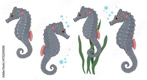 Charming Seahorses in Various Poses Underwater Delight in Gray and Pink with Bubbles and Plants