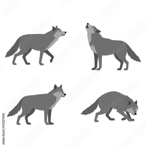Four gray wolves depicted in dynamic poses showcasing natural wild animal behavior and movement isolated on white background