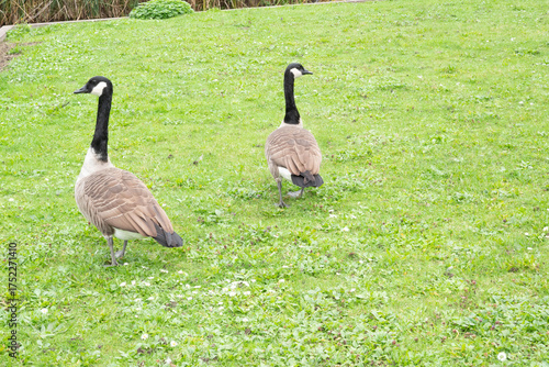 Automn Fall in germany