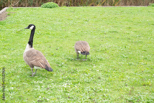 Automn Fall in germany