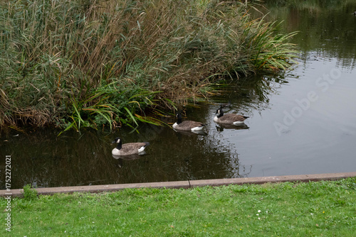 Automn Fall in germany